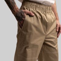  Брюки мужские Dickies Skateboarding Mount Vista Pant артикул:WPSK44DS - купить в магазине Дайс