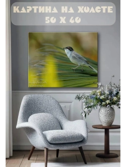 Картина на стену 40 X 50 Птица