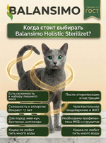 Сухой корм холистик для стерилизованных кошек и кастрированных котов Balansimo Holistic Sterilized Adult Cat индейка с ягодами 2 кг