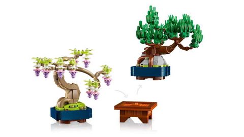 Конструктор LEGO The Botanical Collection 10373 Mini Bonsai Trees