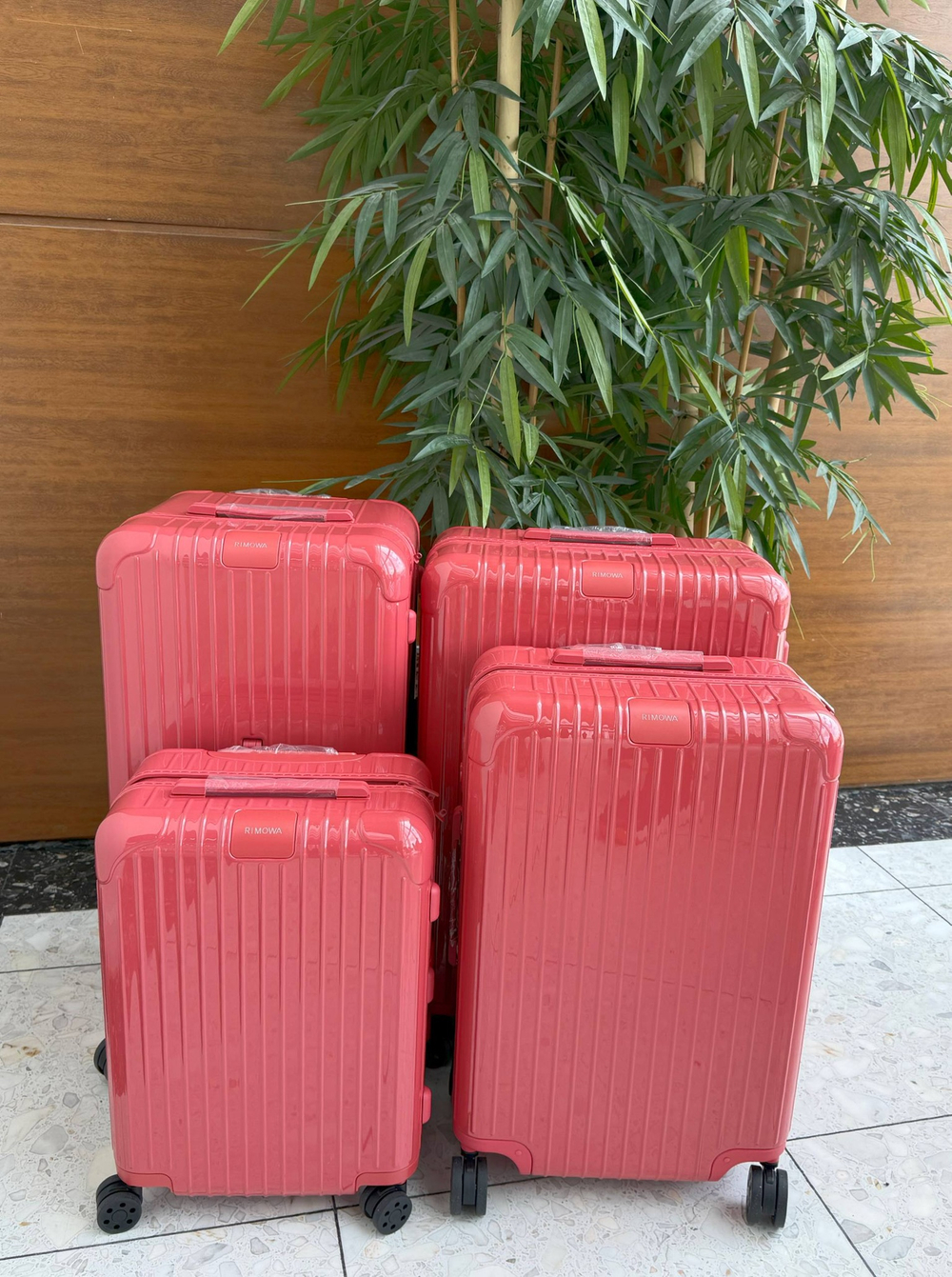 Дорожный чемодан Rimowa