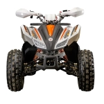 Квадроцикл (комплект для сборки) Yacota SPORTY XX 125 черно-зеленый