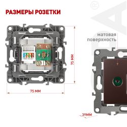 Розетка ЭРА Серия 12 12-3110-13 комбинированная RJ45+TV IP20 бронза | Эра 12