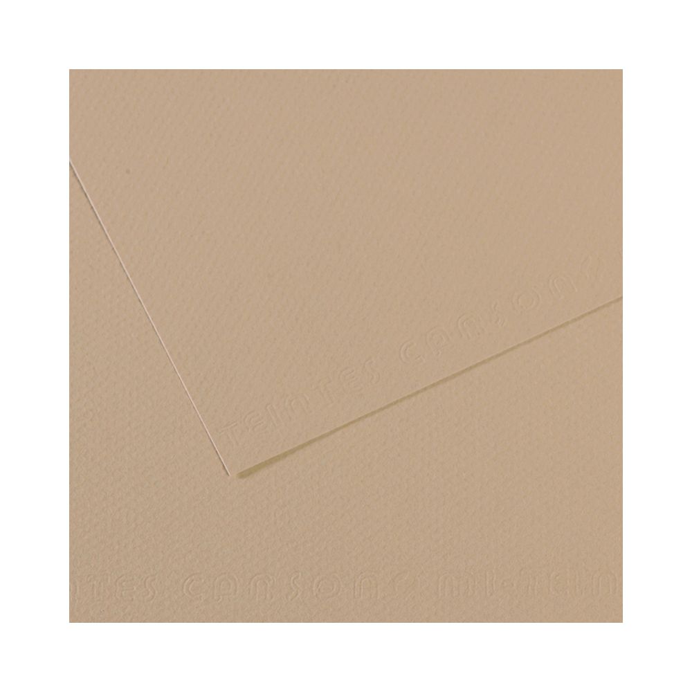 Бумага для пастели Mi-Teintes 160 г/м², 75х110 см, 10 л, №343 Серо-бежевый, Canson, C31032S145