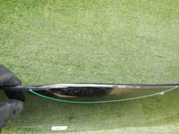 DSCN2234.jpg
