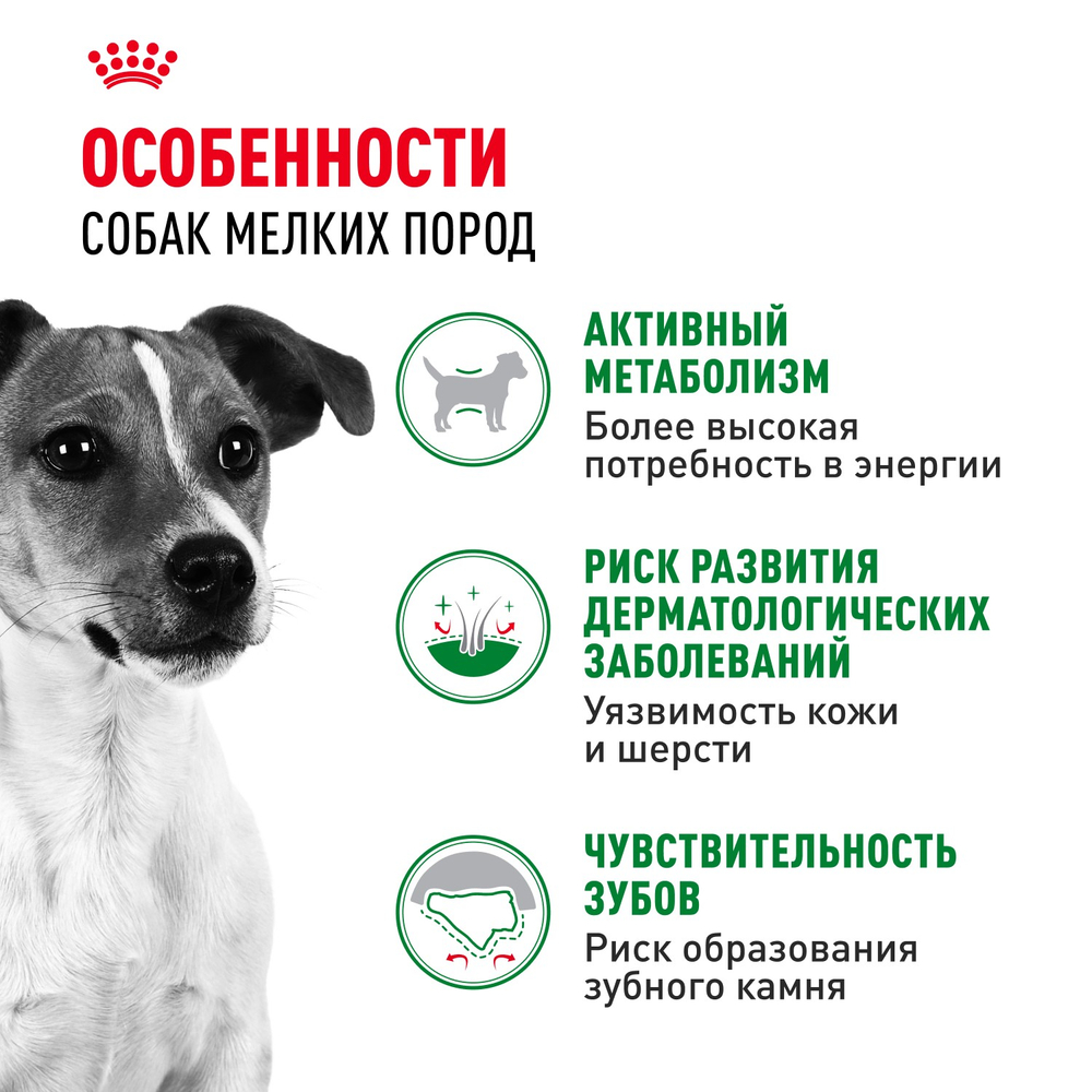 Royal Canin Mini Adult Мини Эдалт Корм сухой для взрослых собак мелких пород от 10 месяцев и старше 8кг