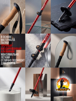 Палки для трекинга, скандинавский ходьбы/ телескопические Carbon pole EVA grip /2 шт, цвет черный