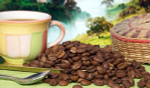 Кофе в зернах Santa Fe Эфиопия Guji Арабика 1кг