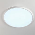 Citilux Бейсик CL738400V Светильник накладной Белый