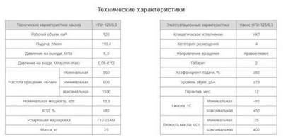 Насос НПл 125/6,3