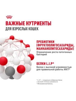 Digestive Care 2кг Корм для кошек