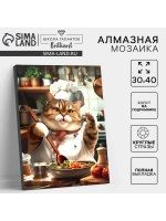Алмазная вышивка полное заполнение Толстенький повар