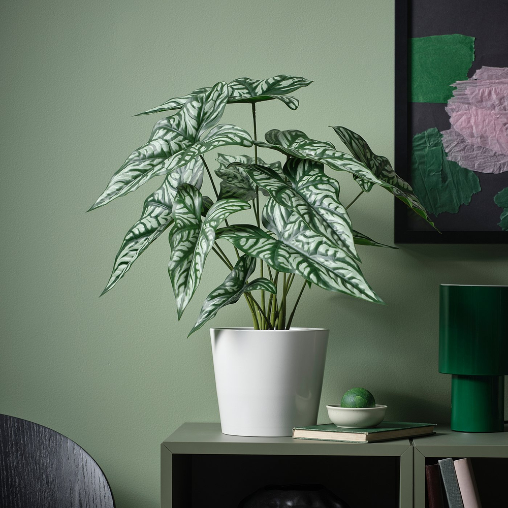 IKEA FEJKA  (ИКЕА ФЕЙКА)  -  Искусственное растение в горшке - для дома и улицы/церцестис 15 см