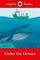 Under the Oceans - Ladybird Readers Level 4