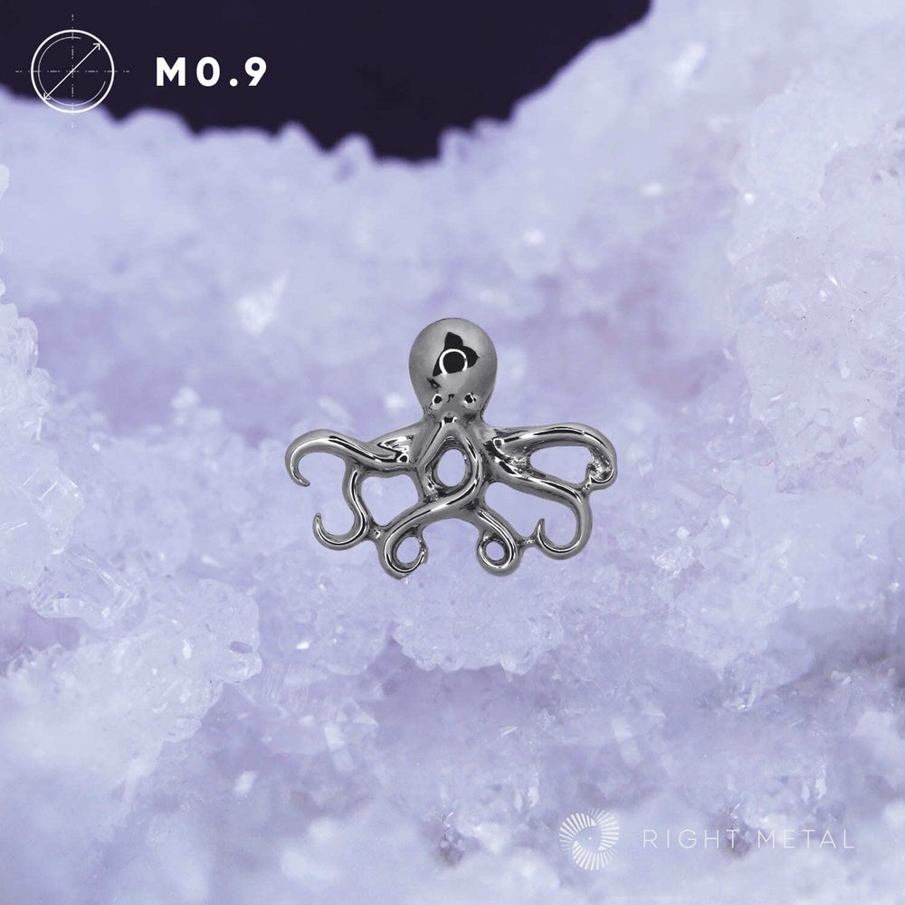 Octopus