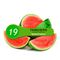 Tangiers Birquq - Watermelon