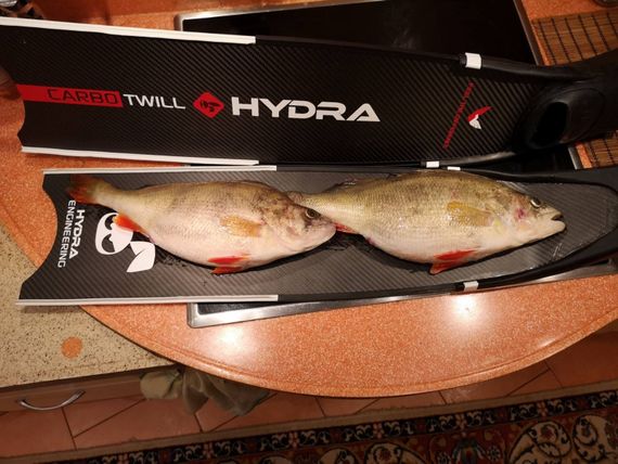 Карбоновые лопасти Hydra CarboTwill Белая отбортовка 24°