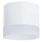 Точечный накладной светильник Arte Lamp CASTOR A5554PL-1WH, 1хGX53