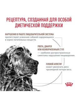 Gastrointestinal 2кг Корм для собак