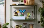 Конструктор LEGO Ideas 21342 Насекомые