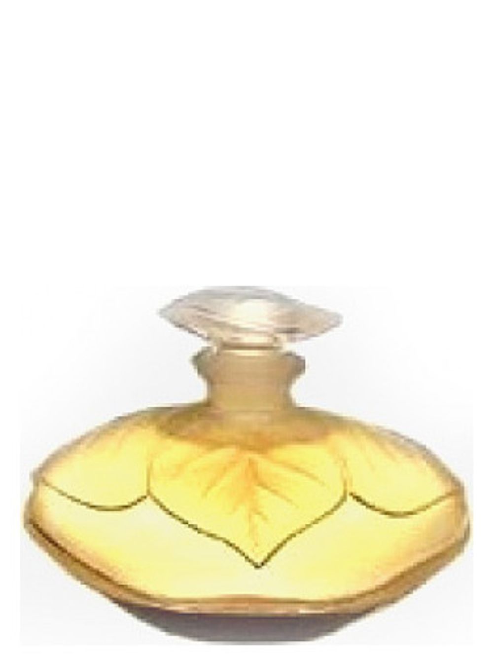 Lancetti Elle