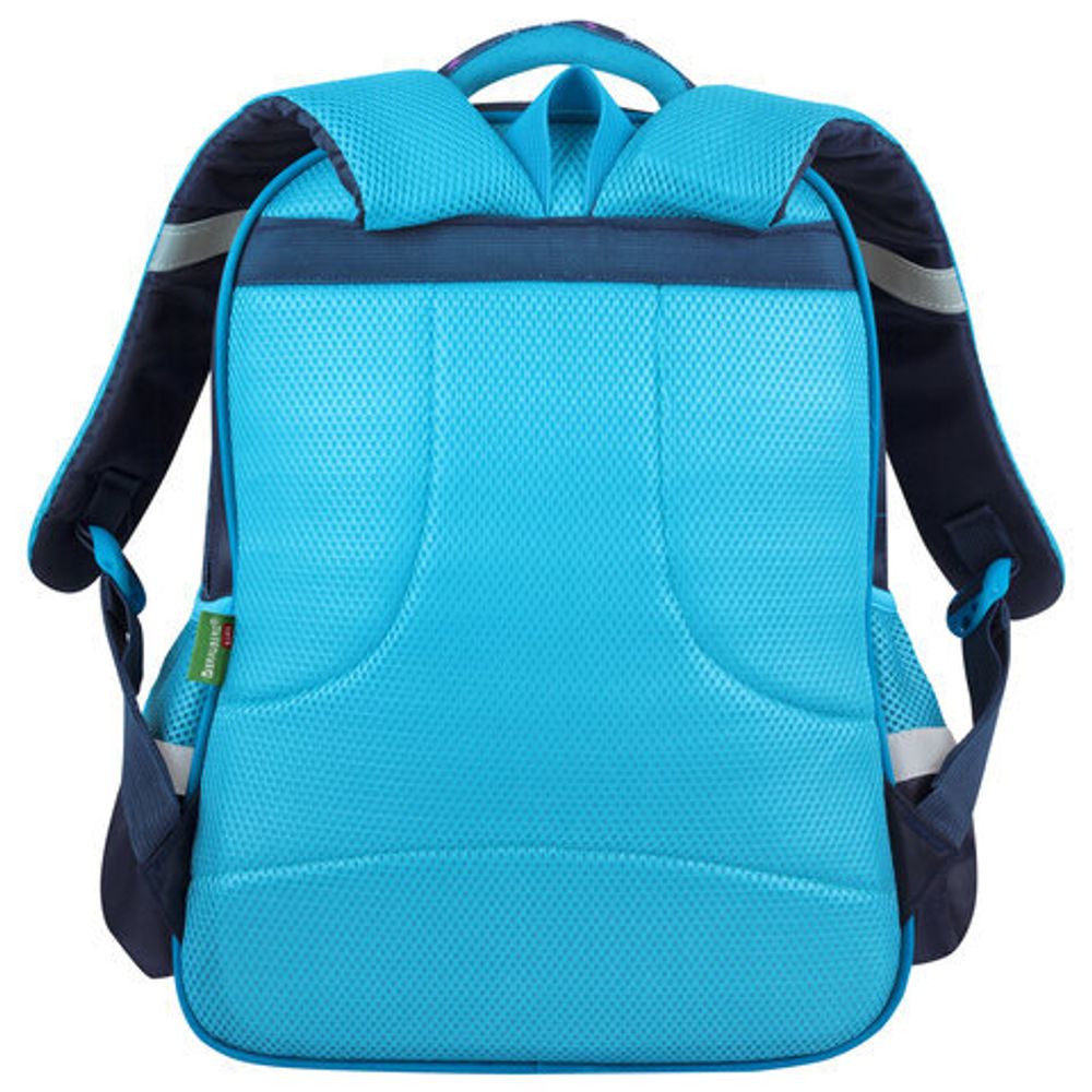 Рюкзак BRAUBERG KIDS FLOSSY, 2 отделения, 3 кармана, "Sky girl", 3D-панель, 40х28х18 см, 273179