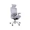 GTChair Dvary X grey