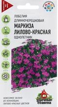 Лобелия