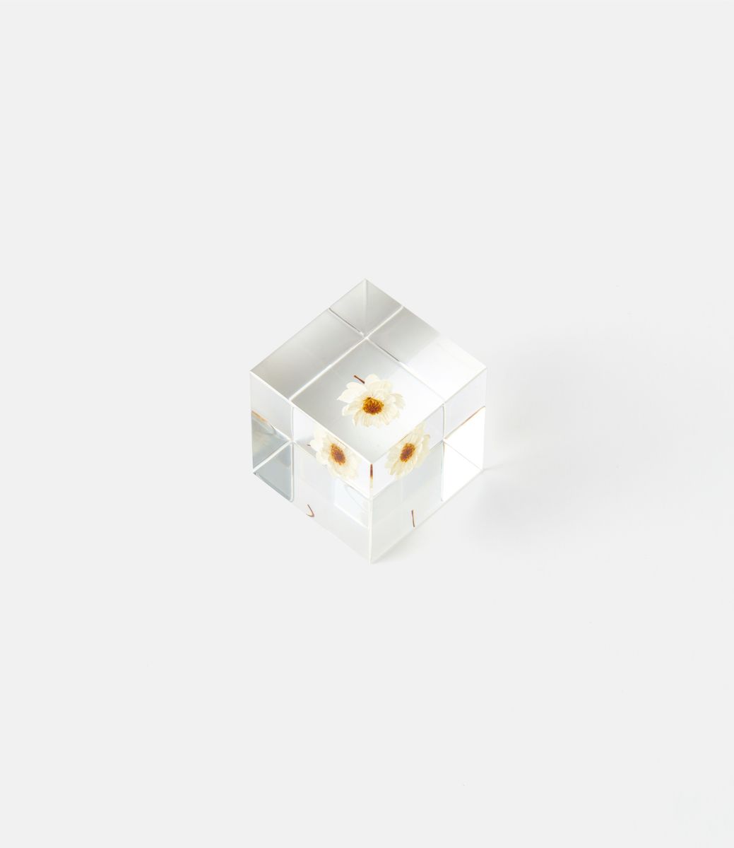 Sola Cube Chamomile Sunray — куб из акриловой смолы