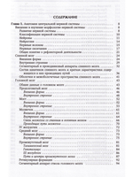 Нормальная анатомия человека т.2  11-е издание