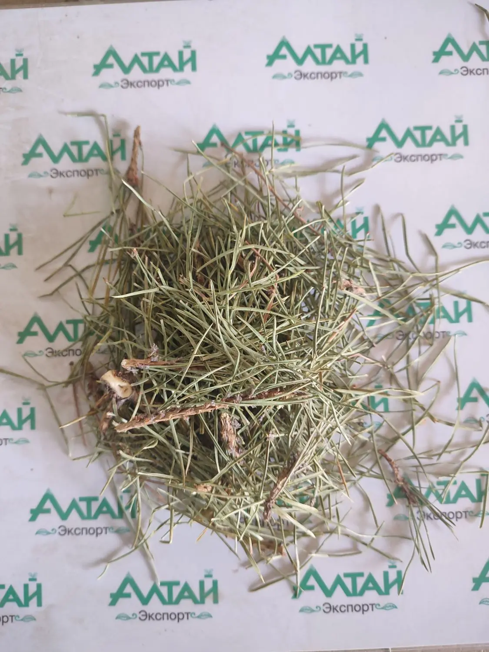 Сосновая хвоя с лапкой Алтай