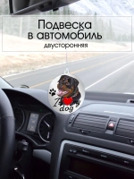 Подвеска в машину - Ротвейлер