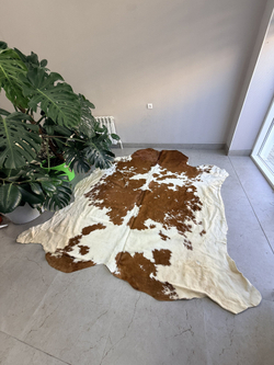Коровья шкура на пол натуральная. 250 х 210 см