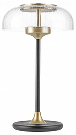 Настольная лампа декоративная Lightstar Acrile 738973