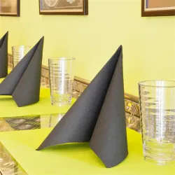 Салфетка бумажная Double Point двухслойная черная, 39*39 см, 50 шт, Garcia de Pou