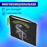 Папка для тетрадей BRAUBERG А5, 1 отделение, полиэстер, на молнии, с ручкой, "Tyrannosaur", 272203