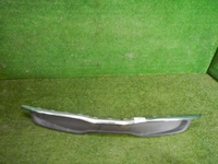 DSCN4651.jpg