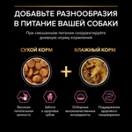 Сухой корм PRO PLAN SENSITIVE SKIN для взрослых собак мелких и карликовых пород с чувствительной кожей лосось 700 г