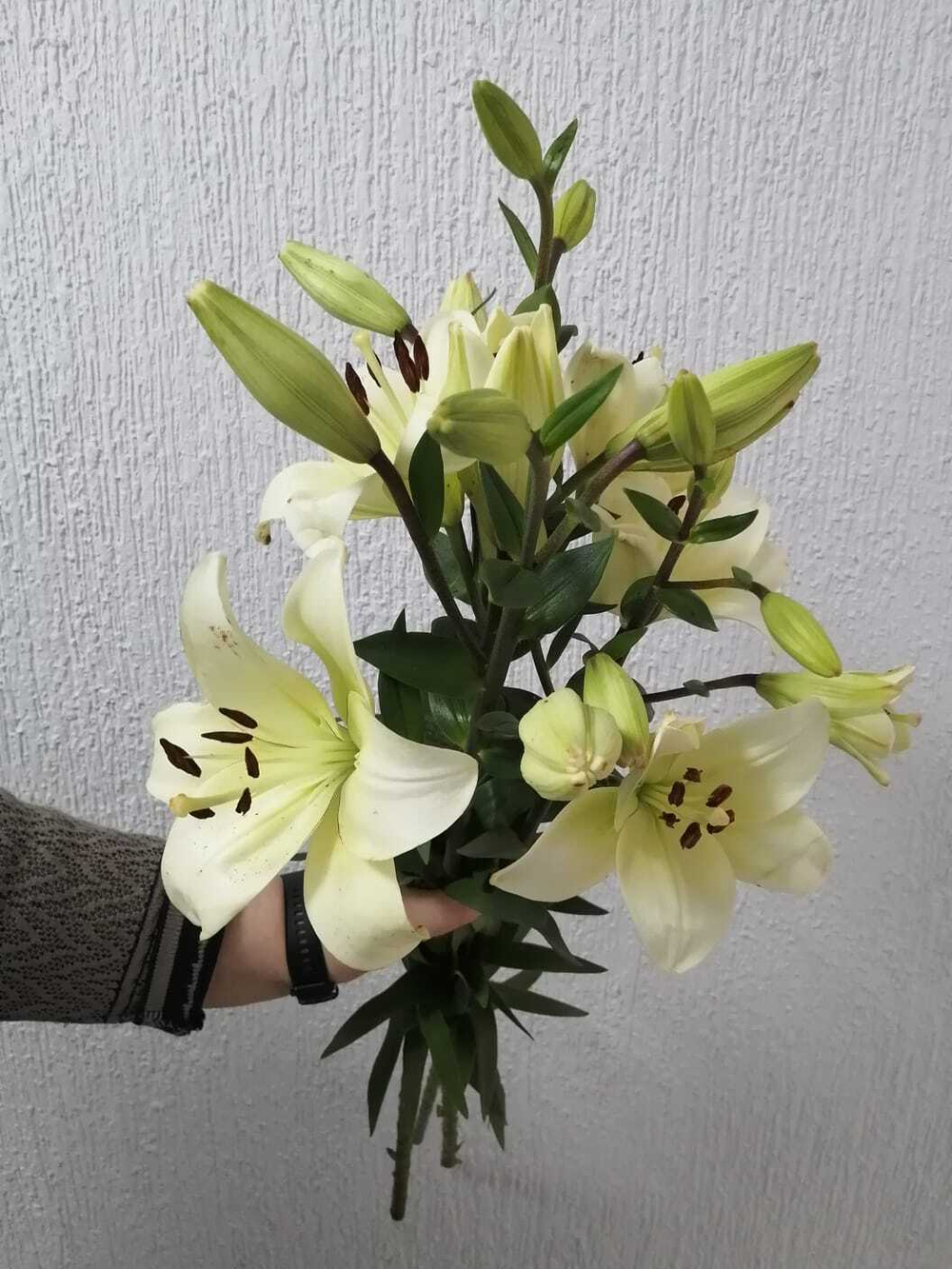 Лилия белая