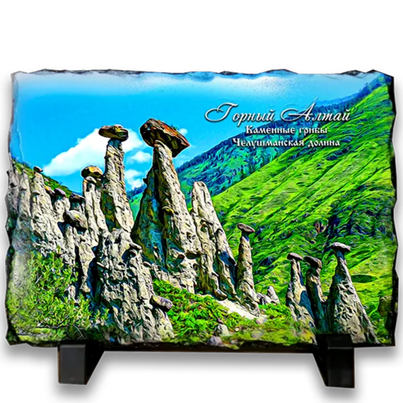 фотокамень 19*14 "Каменые грибы"