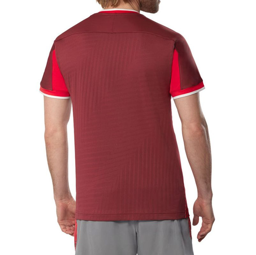 Мужская теннисная футболка Mizuno Stargazer Shadow Graphic Short-Sleeve - sun dried tomato