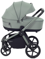 Детская коляска Rant Flex Therm Soft 3 в 1 с автокреслом Cruise Grey Forest Green