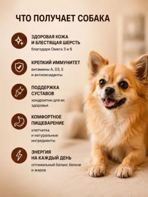 Сухой корм Fealdon для взрослых собак мелких пород с говядиной