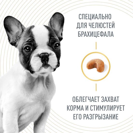 Royal Canin French Bulldog Puppy для щенков Французских Бульдогов