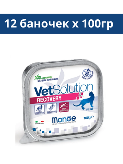 Ветеринарная диета Monge VetSolution Cat Recovery (Монж Рекавери) для кошек 12 баночек по 100гр.