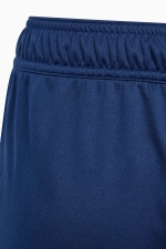 Шорты adidas Tiro 24 Junior