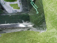 DSCN8382.jpg