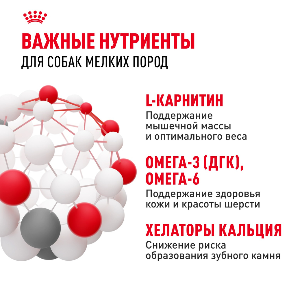 Royal Canin Mini Adult Мини Эдалт Корм сухой для взрослых собак мелких пород от 10 месяцев и старше 4кг