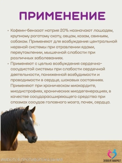 Кофеин бензоат натрия 20% для животных, 20 мл