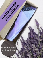 Сухоцветы для декора цветы лаванда натуральная